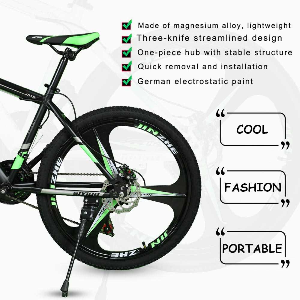 double disc brake and gear cycle